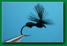 parachute_ant