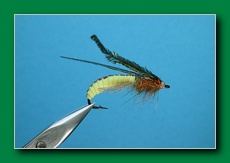 caddis_pupa