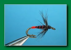 seatrout_spider