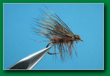 deer_hair_sedge-red_brown