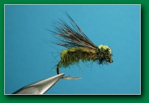 foam_back_sedge_olive