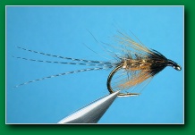 gold_ribbed_hares_ear_greenwell
