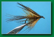 golden_olive_dabbler_variant