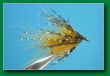 maggies_cdc_golden_olive_bumble