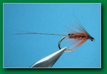 pheasant_tail_spider