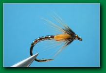 brown_emerger