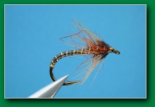 brown_stewart_style_emerger