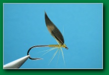 woodcock_yellow_clyde_style