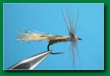 grey_pardo_sedge