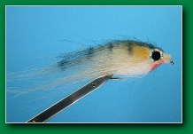 black_white_minnow