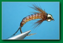 mayfly_larva_1