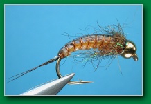 mayfly_larva_2