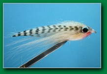 white_minnow