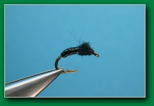 black_midge_emerger