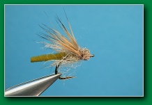 extended_body_caddis_emerger