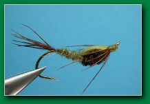 olive_swimming_nymph