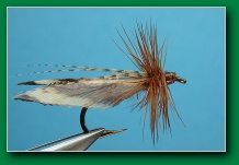 tape_wing_brown_caddis