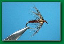 pheasant_tail_shn