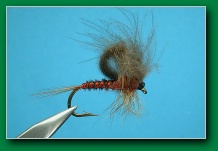 cdc_hatching_mayfly_red