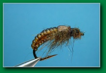 beefmo_caddis_pupa_tan