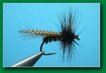 bronze_mallard_wet
