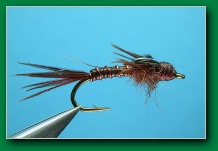 flashback_mayfly_nymph