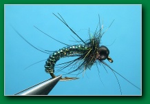 peacock_tinsel_caddis_larva