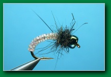 pearl_tinsel_caddis_larva