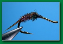 american_pheasant_tail_demi_nymph