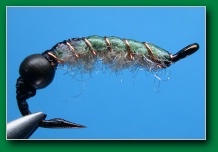 beadhead_down_caddis_larva