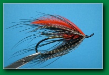 chinook_spey