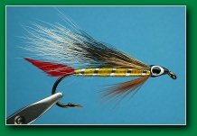 professor_bucktail