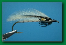 silver_darter