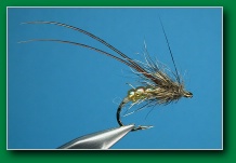 gb_caddis_longhorn