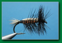 tied_down_caddis