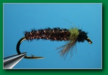 caddis_caddis