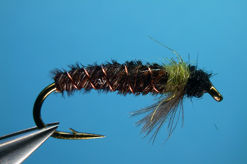 cased caddis flies