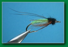 caddis_pupa