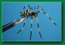 wasp_spider