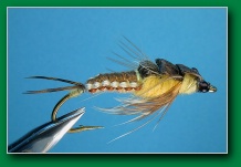 woven_stonefly_nymph