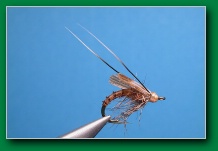 biot_caddis_emerger