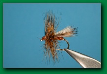 chucks_caddis_variation