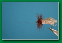 goddard_caddis