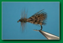 partridge_caddis