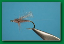 soft_hackle_emerger