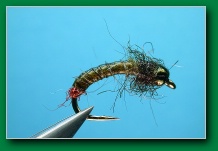 hot_butt_caddis_larva
