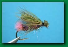 hot_butt_cdc_caddis