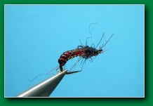 south_platte_midge_special