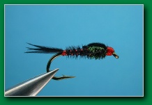 black_red_pheasant_tail