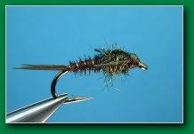 holographic_pheasant_tail
